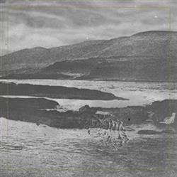 Download RoughLung - Untitled