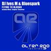baixar álbum Dj Ives M & Bluespark - Flying To Alaska