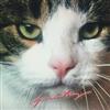 Album herunterladen Motus Ritchard - Franky