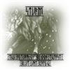 télécharger l'album Sturm - The Return Of Bloodthirst Blut Und Krieg