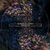 ladda ner album Robert R Hardy - Interpolation