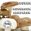 ascolta in linea Buben - Mushroom Campaign