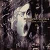 descargar álbum Various - Straight To Hell A Tribute To Slayer