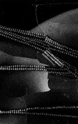 Download Bottom Dweller - Found In Trash