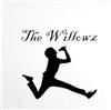 escuchar en línea The Willowz - That Willowz Feelin