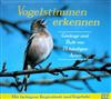 escuchar en línea Andreas Schulze - Vogelstimmen Erkennen Gesänge Und Rufe Von 75 Häufigen Arten