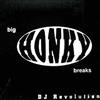 Album herunterladen DJ Revolution - Big Honky Breaks
