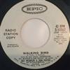 descargar álbum Bat McGrath & Don Potter - Mr Cadillac Walking Bird