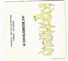 lataa albumi Acriminous - Acriminous