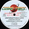 télécharger l'album Junior Biggs, Honorable Apache Singer Mikey, Fleshy Ranks - Unforgettable Love Come To Me