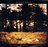 Album herunterladen Jim Lockey & The Solemn Sun - New Natives