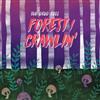 online luisteren The Drug Rugs - Forest Crawlin