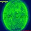 Album herunterladen Ninjah Lab - Free Form