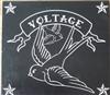 lataa albumi Voltage - High Powered Blues Rock n Roll