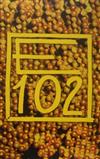télécharger l'album E 102 - E 102