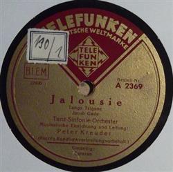 Download TanzSinfonieOrchester - Jalousie Caravan