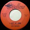 lytte på nettet Vin Bruce - Ill Be A Bachelor I Lost My Mind