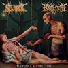 last ned album $lutrot & Nephrectomy - lutrot X Nephrectomy