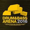 écouter en ligne Various - Drum Bass Arena 2016