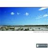 last ned album Thomas Marx - Cry From Stroke