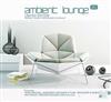écouter en ligne Various - Ambient Lounge 20