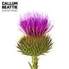 baixar álbum Callum Beattie - Easter Road