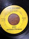 ladda ner album Wild Man & The Brutes - Sunny Its All Right