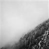 The Aurora Principle - Sen