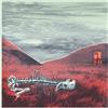 baixar álbum Jim Williams - The Sightseers Sessions