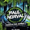 Album herunterladen Paul Norval - Rave In The Jungle