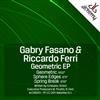 lataa albumi Gabry Fasano & Riccardo Ferri - Geometric EP