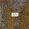 descargar álbum Various - The Wire Tapper 43