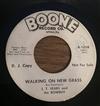 descargar álbum J T Sears And The Rowbux - Walking On New Grass Breaking Point