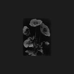 Download Hey Exit - Else 2