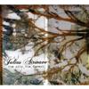 télécharger l'album Julius Airwave - The City The Forest