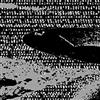 ouvir online Reunion Sacred Ibis - Antikythera
