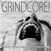 descargar álbum Flea Pest, Destruye y Destruye, OxPxMxDx, Bullshit (Ecu) - GRINDCORE