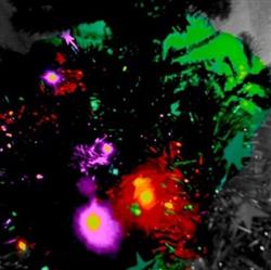 Download Legendary Pink Dots - The Legendary Pink Dots Christmas Album 2013