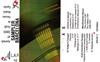 ascolta in linea Various - Sampler Barcelona