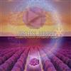 ouvir online Dubnotic And Mystical Voyager - Timeless Journey