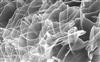 last ned album Dada Centauri - 