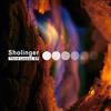 escuchar en línea Sholinger - Third Lesson EP