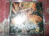 Album herunterladen Holygore - Born from the Decease of Humanity