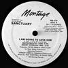 Sanctuary - I Am Going To Love Him