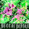 écouter en ligne Bull Of Heaven - It Was Not Known To Thee More Than To Thy Kin