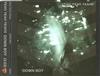 online anhören Yeah Yeah Yeahs - Down Boy
