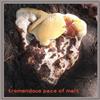 ladda ner album Bren't Lewiis Ensemble - Tremendous Pace Of Melt