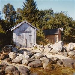 Download André Øy - Amarcord