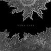 VENA CAVA - VENA CAVA