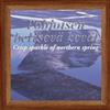 descargar álbum Lauri Hallikainen - Lyrical picture of nature vol IV Crisp Sparkle of Northern Spring